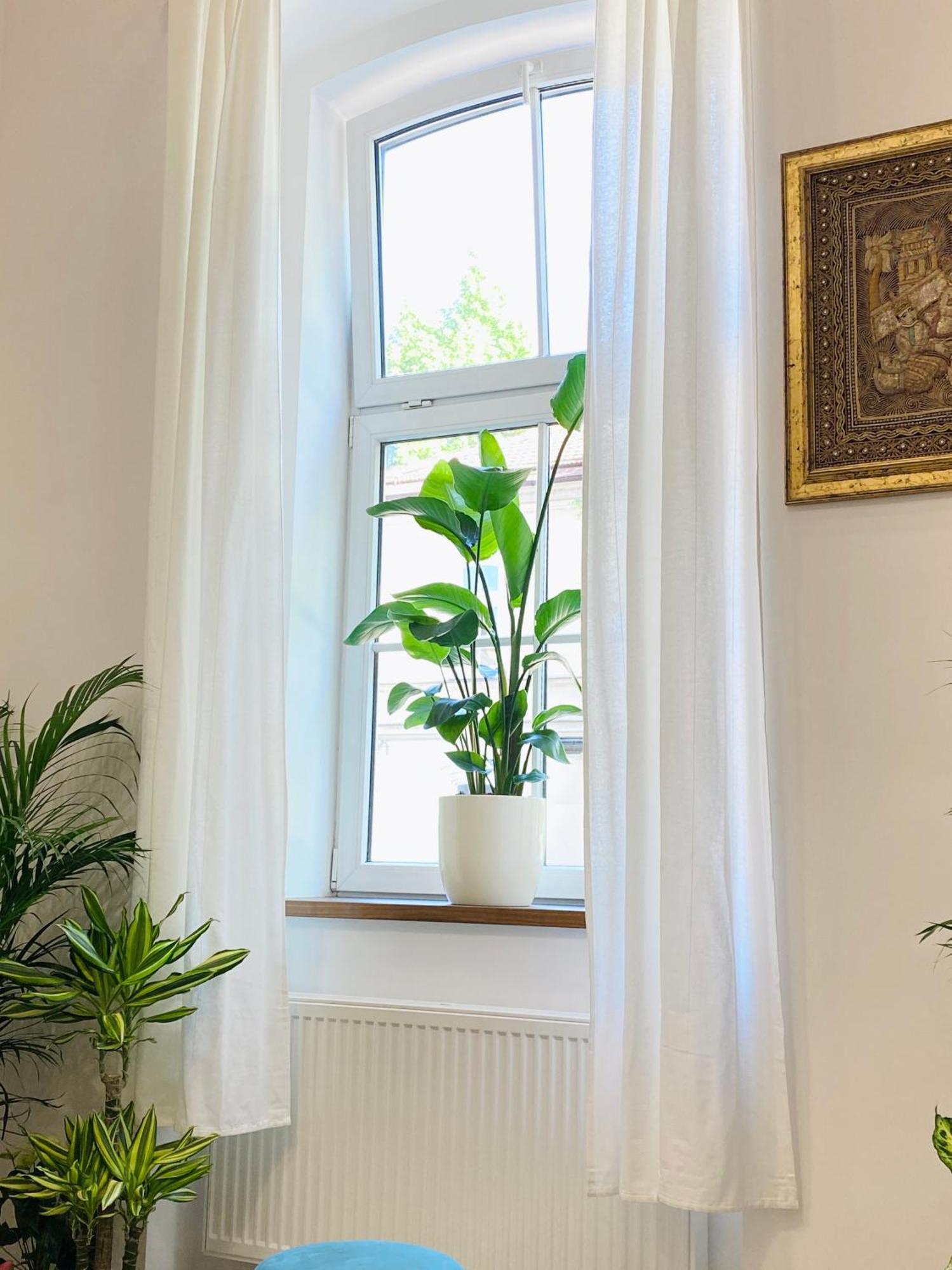 Jungle Loft - Central/Free Parking Любляна Екстер'єр фото