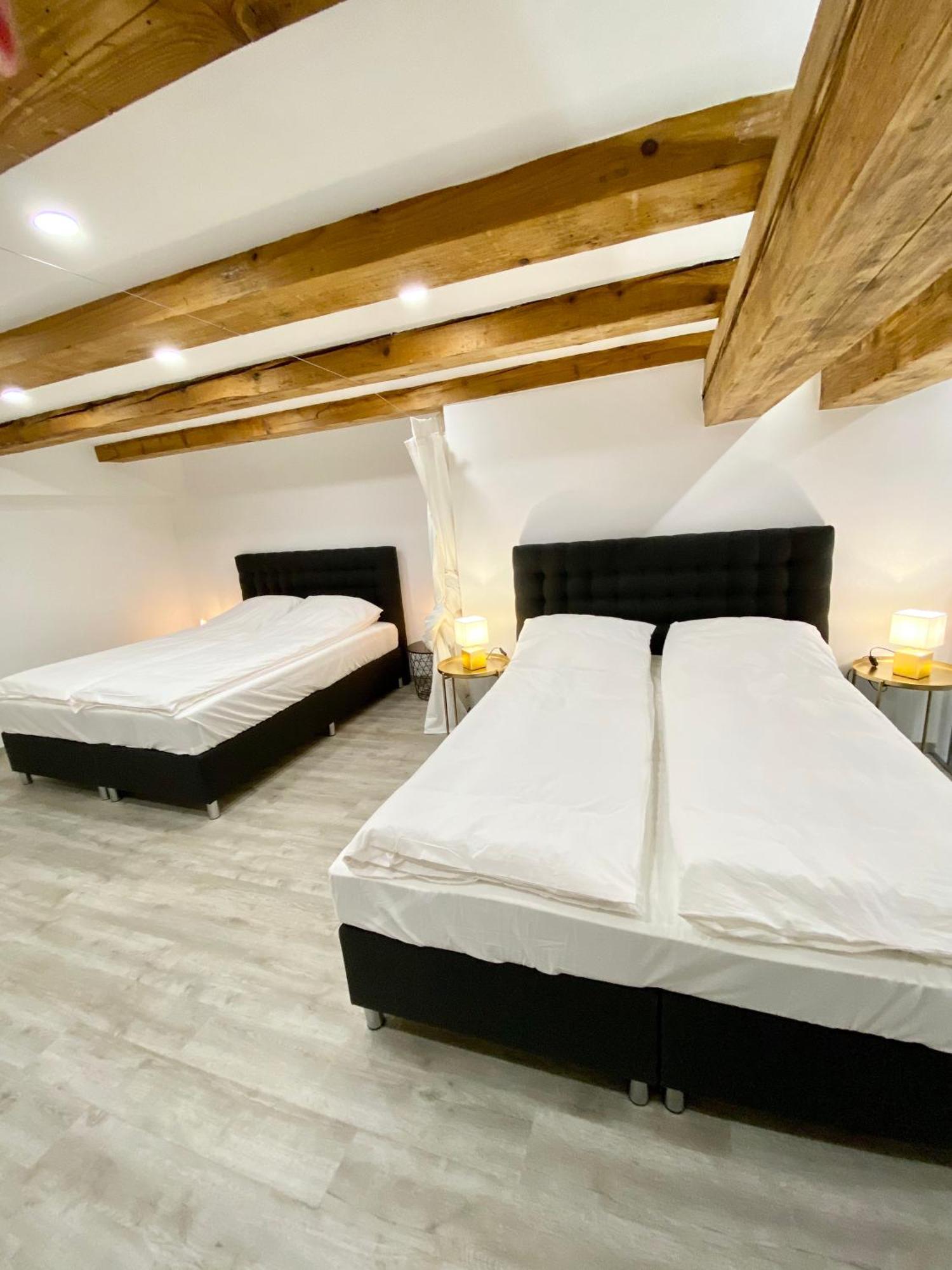 Jungle Loft - Central/Free Parking Любляна Екстер'єр фото