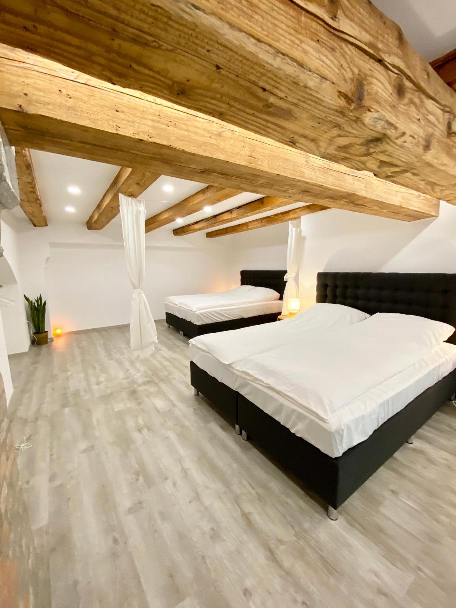 Jungle Loft - Central/Free Parking Любляна Екстер'єр фото